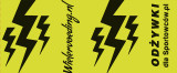 Lightning Bidon - Geel - 500 ml 1