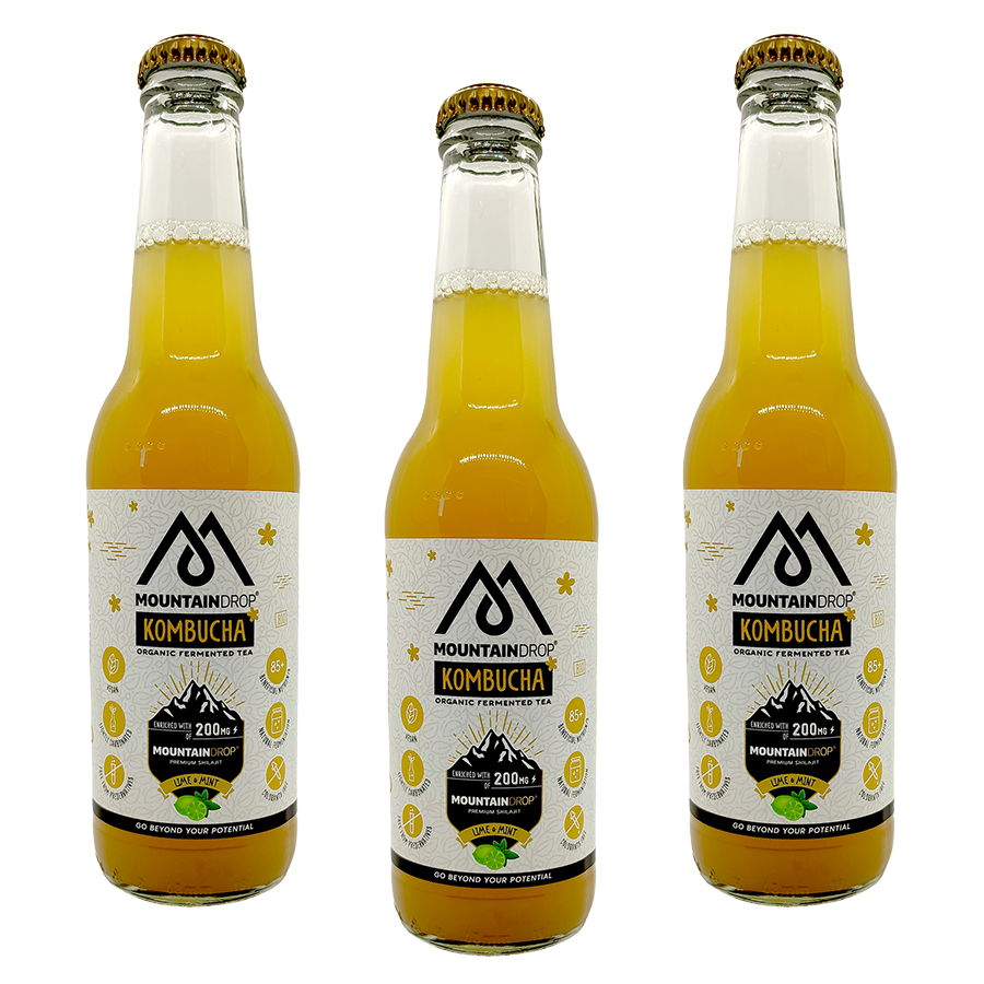 MOUNTAINDROP Organic Kombucha - 330 ml - 2 + 1 gratis 1