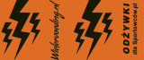 Lightning Endurance Bidon - Oranje - 500 ml 1