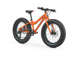 Huren: Mondraker 2017 Panzer 20 1