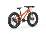 Huren: Mondraker 2017 Panzer 20 3