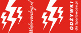 Lightning Endurance Bidon - Rood - 500 ml 1